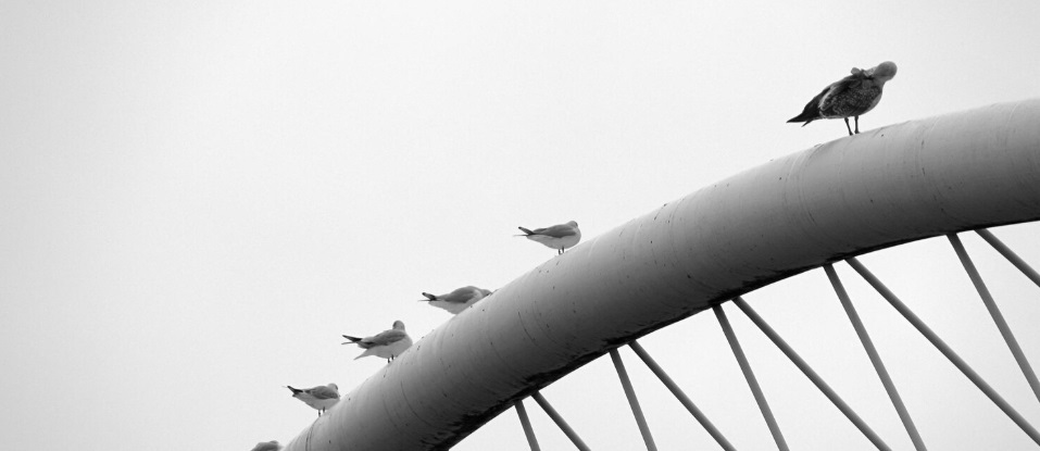 Свобода как компетенция: как нанимать предпринимателей в корпорации - и когда этого делать не стоит